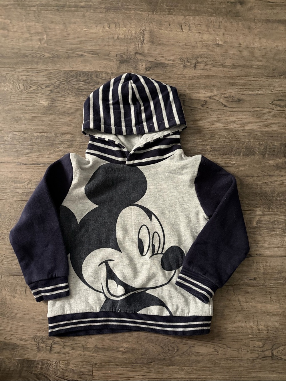 Disney Striped Hooded Sweatshirt - Navy & Light Gray